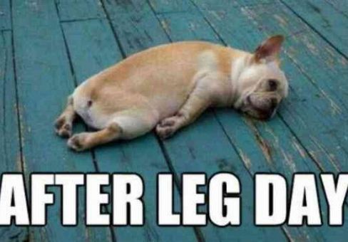 Legs Day.